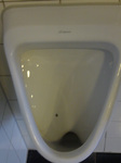 mixiP1050105.jpg